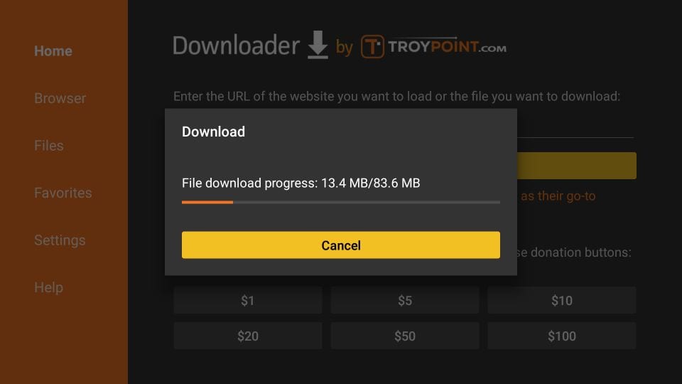 IPTV Smarters installation screenshot step 4 for Fire TV for Dream 4K IPTV device, app, sport or regional guidance